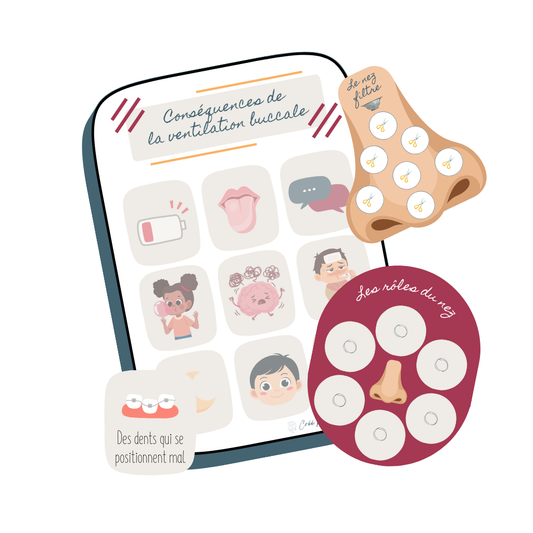 La ventilation nasale : Rôles du nez et de la bouche et conséquences de la ventilation buccale