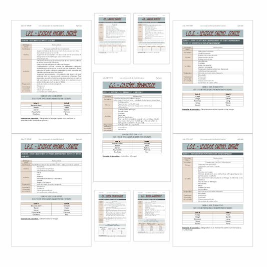 Fiches de rééducation des composants du modèle lexical